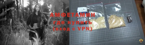 молекула духа Алексин