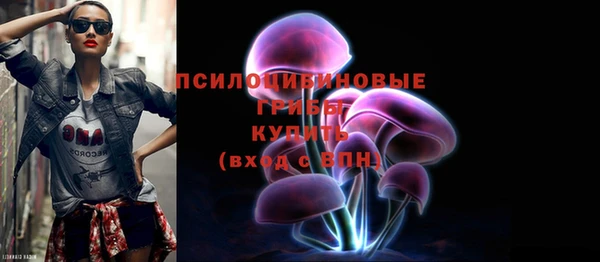 молекула духа Алексин
