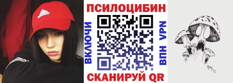 Псилоцибиновые грибы Psilocybe  наркошоп  darknet официальный сайт  Анжеро-Судженск 