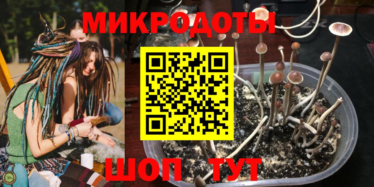Псилоцибиновые грибы ЛСД Анжеро-Судженск