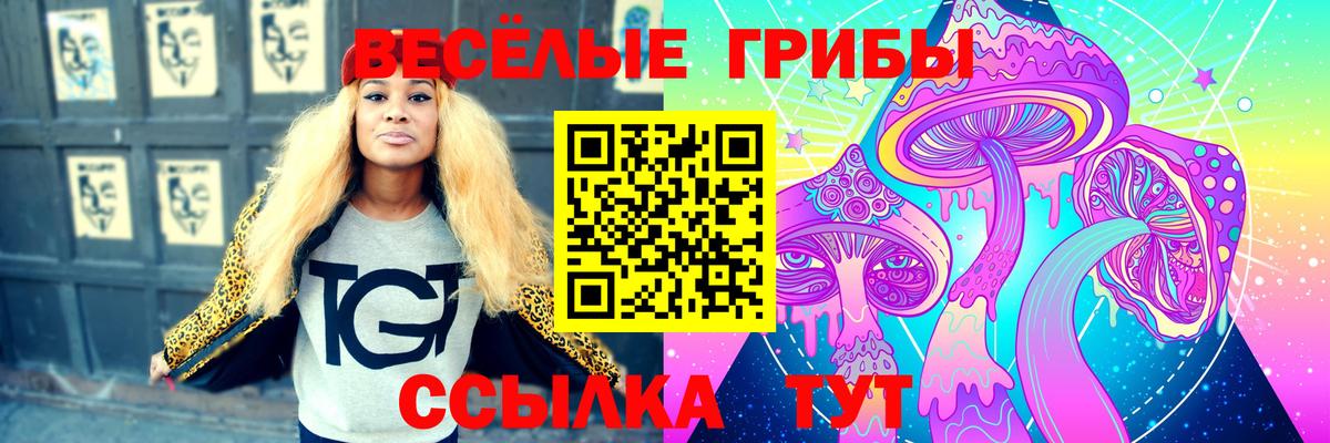 Анжеро-Судженск  где найти наркотики  Вход с VPN  Псилоцибиновые грибы мицелий 